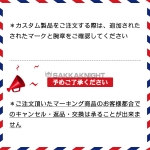 レアルマドリード ユニフォーム 23/24 プレマッチ ジャージー プレイヤーバージョン ブラック