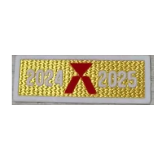 Champion of La Liga 24/25 (￥500)