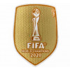 FIFA2020 (￥500)